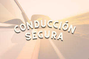 Conducción segura
