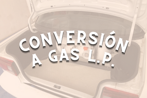 GAS L.P.